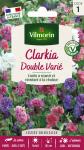 Fleurs - Clarkia Variée - PACKAGING_RECTO